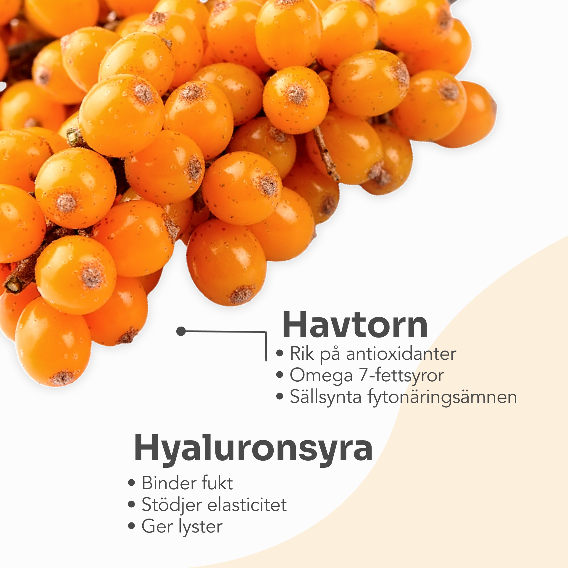 Dr.Stine COLLAGEN with Sea Buckthorn kosttillskott